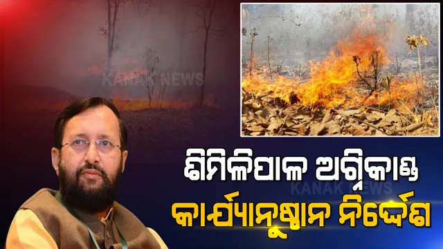 ଖବର ବାଜିଲା, ତନାଘନା ଆରମ୍ଭ ହେଲା । ଶିମିଳିପାଳ ଅଗ୍ନିକାଣ୍ଡ ଘଟଣାରେ କାର୍ଯ୍ୟାନୁଷ୍ଠାନ ପାଇଁ କେନ୍ଦ୍ର ଜଙ୍ଗଲ ଓ ପରିବେଶ ମନ୍ତ୍ରୀଙ୍କ ନିର୍ଦ୍ଦେଶ  ।