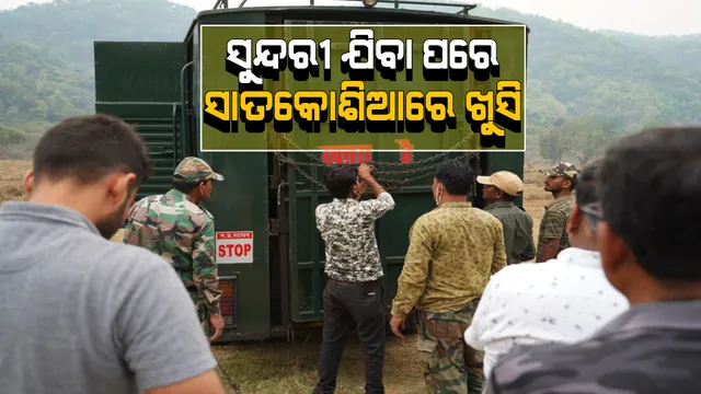 ସାତକୋଶିଆରୁ ମଧ୍ୟପ୍ରଦେଶ ଫେରିଲା ବାଘୁଣୀ ସୁନ୍ଦରୀ । ସ୍ଥାନୀୟ ଅଂଚଳର ଲୋକଙ୍କ ଭିତରେ ଦେଖିବାକୁ ମିଳିଲା ଖୁସିର ମାହୋଲ ।