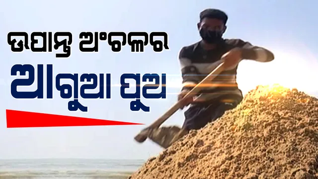 ବଣଜଙ୍ଗଲରେ ଧନୁତୀର ଧରି ବୁଲୁଥିବା କୋୟା ଯୁବକ ଏବେ ଯୁବ ବାଲୁକାଶିଳ୍ପୀ । କାଳିଆଧାମରେ ହୋଇଛନ୍ତି ସୁଦର୍ଶନଙ୍କ ଉତ୍ତମ ଶିଷ୍ୟ ।