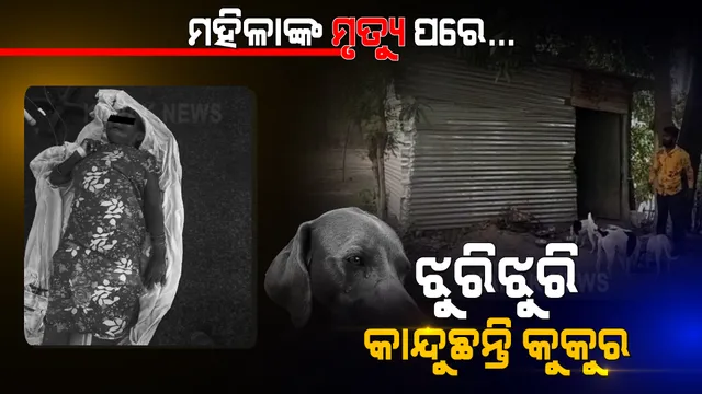 ଆକସ୍ମିତ ମୃତ୍ୟୁ ପରେ ମହିଳାଙ୍କୁ ଝୁରୁଛନ୍ତି କୁକୁର, ଶବପାଖେ ଜଗି ବସିଛନ୍ତି । ସମ୍ବଲପୁରରୁ ଆସିଲା ପଶୁ-ମଣିଷର ପ୍ରୀତିଭରା ସମ୍ପର୍କ