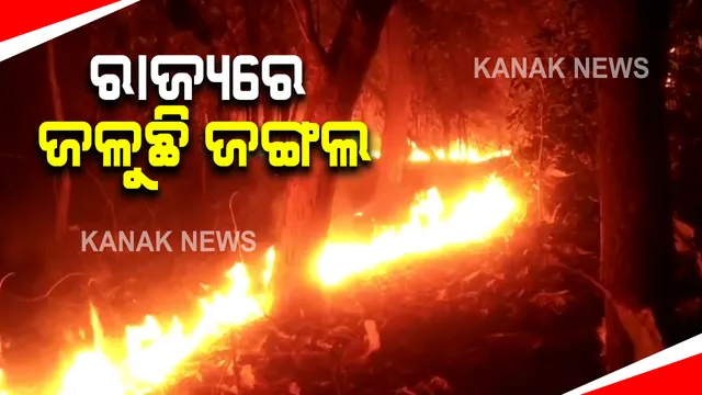 ରାଜ୍ୟରେ ବିଭିନ୍ନ ଜିଲ୍ଲାରେ ଜଳୁଛି ଜଙ୍ଗଲ । ବଲାଙ୍ଗିର ସହର ନିକଟରେ ଜଙ୍ଗଲରେ ନିଆଁ, ସେପଟେ ଢେଙ୍କାନାଳ କାମାକ୍ଷାନଗର ଉପଖଣ୍ଡରେ ଜଳୁଛି ୧୦ରୁ ଅଧିକ ଜଙ୍ଗଲ ଜଳୁଛି ।