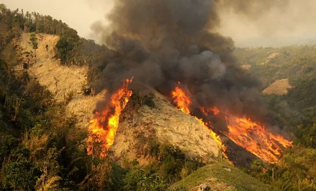 ବଲାଙ୍ଗିର ଜିଲ୍ଲାର ସହର ନିକଟରେ ଜଙ୍ଗଲରେ ନିଆଁ  । ଜଳୁଛି ହାତୀପାହାଡ, ସଦେଇପାଲି, ସୁଲିଆ ପାହାଡ । ସେପଟେ ଢେଙ୍କାନାଳ ଜିଲ୍ଲା କାମାକ୍ଷାନଗର ଉପଖଣ୍ଡରେ ଚିନ୍ତା ବଢାଇଲାଣି ଜଙ୍ଗଲ ନିଆଁ