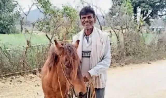 ବୀରବଲଙ୍କ ଭଳି ବୁଦ୍ଧି ପାଞ୍ଚିଲେ ସରପଞ୍ଚ, ଚାରି ଦାବିଦାରଙ୍କ ମଧ୍ୟରୁ ପ୍ରକୃତ ମାଲିକକୁ ମିଳିଲା ଘୋଡା ।