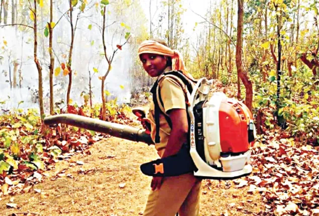 ଜଙ୍ଗଲ ନିଆଁ ଲିଭାଇବା ପାଇଁ ଅଣ୍ଟା ଭିଡିଛନ୍ତି ମହିଳା ଫରେଷ୍ଟର ସ୍ନେହଲତା । ପ୍ରତିଦିନ ୧୦ କିଲୋମିଟର ଚାଲି ଚାଲି ଲିଭାଉଛନ୍ତି ନିଆଁ