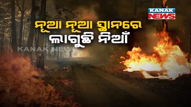 ନାସା ନକ୍ସାରେ ଶିମିଳିପାଳ: ଏବେ ବି ଜଳୁଛି ଜଙ୍ଗଲ । ପଦକ୍ଷେପ ପରେ ମଧ୍ୟ ନିୟନ୍ତ୍ରଣ ହେଉନି ନିଆଁ।