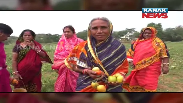 ରାଜକନିକାର ମହିଳା ଗୋଷ୍ଠୀଙ୍କ ସଫଳ ହୋଇଛି ଉଦ୍ୟମ ।  ପନିପରିବା ଚାଷକୁ ଆପଣେଇଲେ ମହିଳା; ୨୫ ଏକର ଜମିରେ ଫଳାଉଛନ୍ତି କୁଇଂଟାଲ କୁଇଂଟାଲ ପରିବା ।