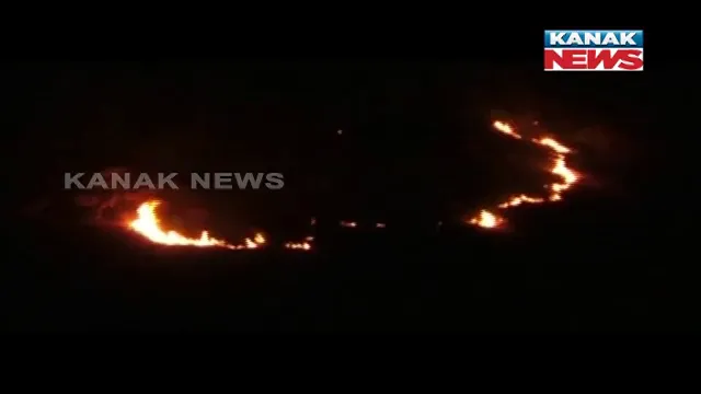 ଜଳୁଛି ନୟାଗଡ : ଜିଲ୍ଲାର ବିଭିନ୍ନ ଜଂଗଲର ପ୍ରାୟ ୩୮୦ଟି ସ୍ଥାନରେ ଲାଗିଛି ନିଆଁ; ବନବିଭାଗ ପକ୍ଷରୁ ନିଆଁ ଲିଭା କାର୍ଯ୍ୟ ଜାରି