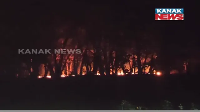 କାଲି ଅପେକ୍ଷା ଆଜି ବଢିଛି ଜଙ୍ଗଲ ନିଆଁ । ରାଜ୍ୟର ୧୦୪୮ ପଏଣ୍ଟରେ ବନାଗ୍ନି ଠାବ । 