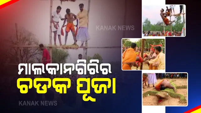 ମାଲକାନାଗିରିରେ ପାରମ୍ପାରିକ ଚଡକ ପୂଜା : ମାନସିକ ରଖି ଖଣ୍ଡାରେ ଚାଲିଲେ. ପିଠିରେ କଂଟା ଫୋଡିଲେ ବ୍ରତଧାରୀ
