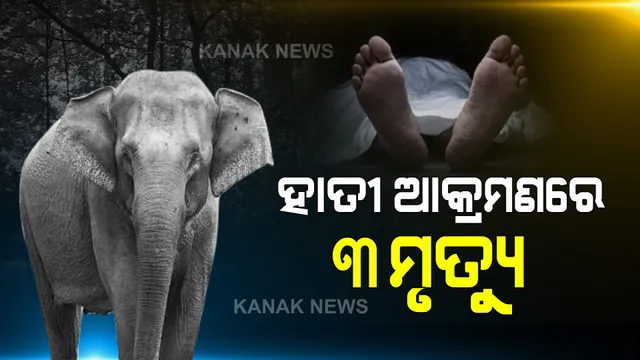 ପଦ୍ମପୁର ରେଞ୍ଜ ଅଧିନ ରାଇସଲପଦର ପଞ୍ଚାୟତରେ ହାତୀ ଆତଙ୍କ : ହାତୀ ଆକ୍ରମଣରେ ଗଲା ତିନିଜଣଙ୍କ ଜୀବନ