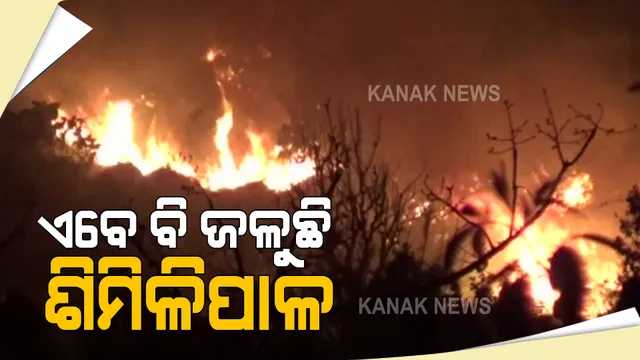 ଏବେ ବି ଜଳୁଛି ଶିମିଳିପାଳ : ବ୍ୟାଘ୍ର ସଂରକ୍ଷଣ ପ୍ରକଳ୍ପର ୪୭ଟି ସ୍ଥାନରେ ଲାଗିଛି ନିଆଁ, ନାସାର ସାଟେଲାଇଟ ଚିତ୍ରରୁ ସ୍ପଷ୍ଟ