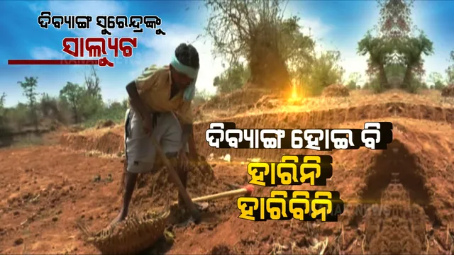 ଏପଟେ ଶରୀରର ବୋଝକୁ ସେପଟେ ପରିବାର ବୋଝ । ପାଠ ଛାଡି ପରିବାର ଚଳାଇବାକୁ ମୂଲ ଲାଗୁଛନ୍ତି ଦିବ୍ୟାଙ୍କ ସୁରେନ୍ଦ୍ର ।