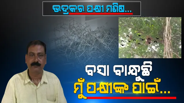 ପକ୍ଷୀପ୍ରେମରେ ପୂର୍ବତନ ସରପଞ୍ଚ । ବେସାହାରା ଚଢେଇଙ୍କ ପାଇଁ ଗାଁ ସାରା ବୁଲି ବୁଲି ଗଛରେ ବସା ବାନ୍ଧୁଛନ୍ତି ଭଦ୍ରକର ପକ୍ଷୀପ୍ରେମୀ ସୁଶାନ୍ତ ।