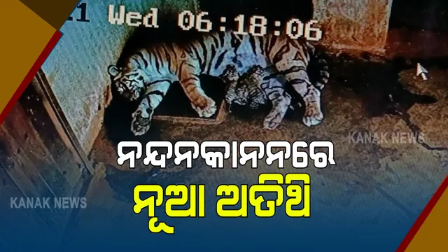 ନନ୍ଦନକାନନ ପ୍ରାଣୀ ଉଦ୍ୟାନକୁ ଆସିଲେ ୩ ନୂଆ ଅତିଥୀ  : ନନ୍ଦନକାନନ କର୍ତ୍ତୃପକ୍ଷଙ୍କ ସୂଚନା