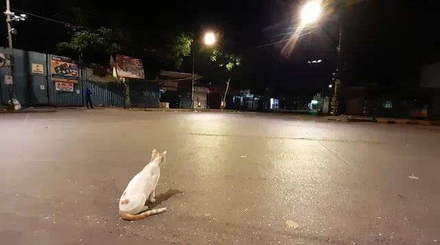 ରାତି ୧୦ ବାଜିଲା, ଓଡ଼ିଶାର ୧୦ ଜିଲ୍ଲାରେ ନାଇଟ କର୍ଫ୍ୟୁ ଆରମ୍ଭ ହେଲା । 