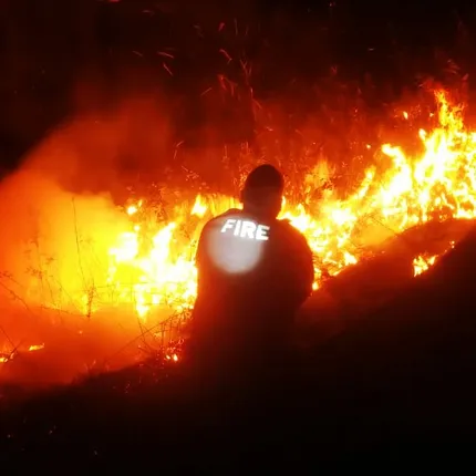 ଜଳ ପ୍ରଳୟ ପରେ ଜଙ୍ଗଲ ନିଆଁ । ଉତ୍ତରାଖଣ୍ଡର ବିଭିନ୍ନ ଜିଲ୍ଲାରେ ଜଳୁଛି ଜଙ୍ଗଲ, ନିଆଁ ଲିଭାଇବାକୁ NDRF ଓ ଚପ୍ପର ନିୟୋଜିତ ।