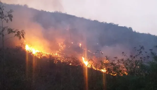 ନିଆଁ ଲିଭାଇବା ପାଇଁ ନାହାନ୍ତି କର୍ମଚାରୀ, ଜଙ୍ଗଲ ନିଆଁ ବଢାଉଛି ଅଗ୍ନିଶମ ବିଭାଗର ଚିନ୍ତା ।