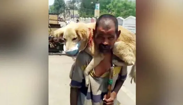 ନିଜେ ମାସ୍କ ପିନ୍ଧିନଥିଲେ, କିନ୍ତୁ କୁକୁରକୁ ମାସ୍କ ପିନ୍ଧାଇଥିଲେ । ଆଉ ପଚାରିବାରୁ କହିଲେ ଏମିତି କଥା...