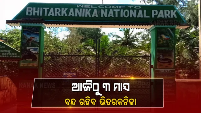 ଆଜିଠାରୁ ୩ ମାସ ବନ୍ଦ ରହିବ ଭିତରକନିକା : କୁମ୍ଭୀରଙ୍କ ପ୍ରଜନନ ଦୃଷ୍ଟିରେ ରଖି ଭିତରକନିକା ବନ୍ଦ ରଖିବାକୁ ନିଷ୍ପତ୍ତି