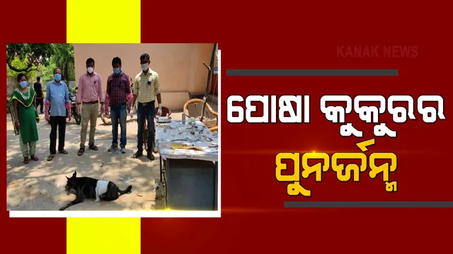 ରଖେ ହରି ତ ମାରେ କିଏ : ୩ ଘଣ୍ଟା ଜୀବନ ମୃତ୍ୟୁର ସଂଘର୍ଷ ଭିତରେ ବଂଚିଗଲା ପୋଷା କୁକୁର , ସଫଳ ହେଲା ଅସ୍ତ୍ରୋପଚାର