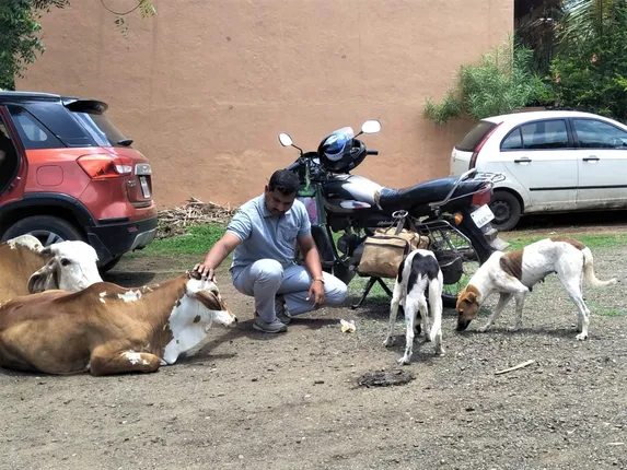 ଭୋକିଲା ରହିବେନି ଗାଈ, ବୁଲା କୁକୁର । ମୁଖ୍ୟମନ୍ତ୍ରୀଙ୍କ ରିଲିଫ ପାଣ୍ଠିରୁ ଷାଠିଏ ଲକ୍ଷ ଟଙ୍କା ସହାୟତା