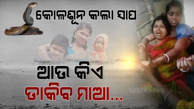 ସାପ କାମୁଡାରେ ଆଖି ବୁଜିଲେ ପୁଅଝିଅ । ଗୋଟିଏ ଶେଯରେ ଶେଷ ନିଦ୍ରାରେ ଶୋଇଗଲେ ଭାଇଭଉଣୀ । ମାତୃ ଦିବସର ଦିନକ ପୂର୍ବରୁ ମାଆଠୁ ଛୁଆଙ୍କୁ ଛଡାଇନେଲା ନିଷ୍ଠୁର ବିଧାତା ।