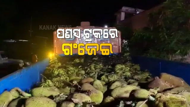 ପଣସ ବୋଝେଇ ଗାଡିରୁ ଗଞ୍ଜେଇ ଜବତ : ପାଟ୍ରୋଲିଂ ବେଳେ ଜବତ କଲା ଲମତାପୁଟ ଓ ମାଛକୁଣ୍ଡ ପୋଲିସ