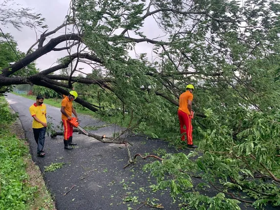 ତାଣ୍ଡବ ରଚି ଚାଲିଗଲା ବାତ୍ୟା : ରାସ୍ତା ଉପରେ ପଡିଥିବା ବଡ ବଡ ଗଛକୁ କାଟି ସଫା କଲେ ଏନଡିଆରଏଫ୍ ଟିମ୍