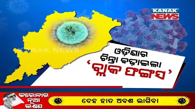 ‘ବ୍ଲାକ ଫଙ୍ଗସ୍’ ଲକ୍ଷଣ ଥିବା ଆଉ ଦୁଇ ଜଣ ରୋଗୀ ଓଡ଼ିଶାରୁ ଚିହ୍ନଟ । ଭୁବନେଶ୍ୱରର ଏକ ଘରୋଇ ହସ୍ପିଟାଲରେ ଚାଲିଛି ଚିକିତ୍ସା । ଜଣେ ଦୃଷ୍ଟିଶକ୍ତି ହରାଇଥିବା ବେଳେ, ଆଉ ଜଣଙ୍କ ଆଖି ଓ ନାକ ପ୍ରଭାବିତ