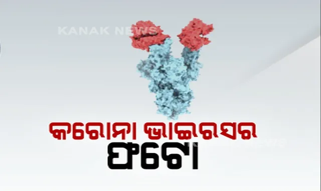 କେମିତି ଦେଖାଯାଏ ନୂଆ କରୋନା ଭାଇରସ ? କାନାଡା ବିଶେଷଜ୍ଞ ଜାରି କଲେ ନୂଆ ମ୍ୟୁଟାଣ୍ଟର ଚିତ୍ର, କହିଲେ ଛୁଞ୍ଚି ମୁନର ଏକ ଲକ୍ଷରୁ ଏକ ଭାଗ ହେଉଛି ଆକାର ।