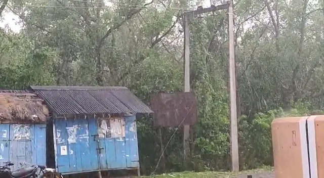 ରାଜନଗରରେ ଥମୁନି ବର୍ଷା : ପ୍ରାୟ ୨ଶହ ପରିବାର ଏବେ ଜଳବନ୍ଦୀ