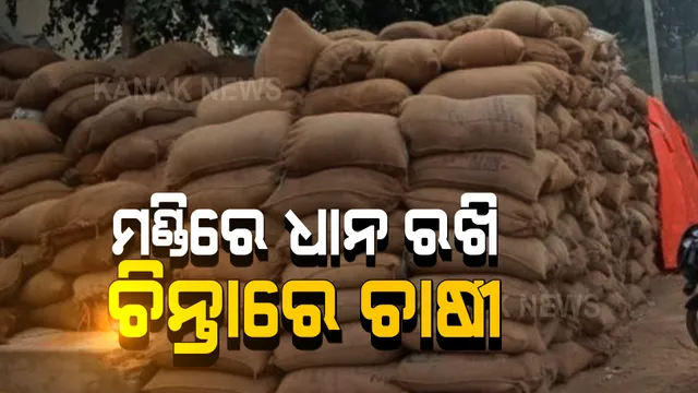 ଆସୁନାହାନ୍ତି ମିଲର କି ମଣ୍ଡି କର୍ତ୍ତୃପକ୍ଷ, ଅବ୍ୟବସ୍ଥା ବିରୋଧରେ ରାସ୍ତାକୁ ଓହ୍ଲାଇଲେ ଜୟପୁରର ଚାଷୀ । ଆନ୍ଦୋଳନ ଧମକ ପରେ ଚେତିଲା ପ୍ରଶାସନ, ଧାନ କିଣିବାକୁ ଦେଲା ପ୍ରତିଶ୍ରୁତି ।