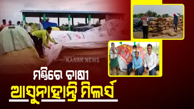 ଜୁନାଗଡ ନକଟିଗୁଡା ମଣ୍ଡିରେ ଗଦା ହୋଇ ରହିଛି କ୍ୱିଣ୍ଟାଲ କ୍ୱିଣ୍ଟାଲ ଧାନ । ବିକ୍ରି ଅପେକ୍ଷାରେ ଚାଷୀ, ହେଲେ ଆସୁନାହାନ୍ତି ମିଲର୍ସ କି ମଣ୍ଡି କର୍ତୃପକ୍ଷ ?