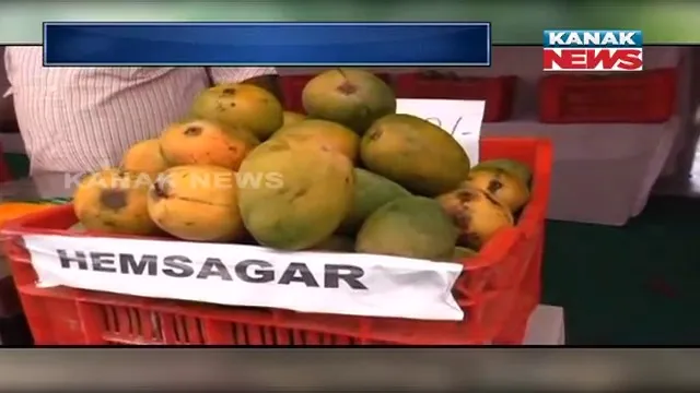 କରୋନା ସ୍ଥିତି ଯୋଗୁଁ ବିକ୍ରି ହୋଇପାରୁନି ରାୟଗଡ଼ା ଆମ୍ବ । ଚିନ୍ତାରେ ଆମ୍ବ ଚାଷୀ, ସହାୟତାର ହାତ ବଢ଼ାଇଛି ଜିଲ୍ଲା ପ୍ରଶାସନ