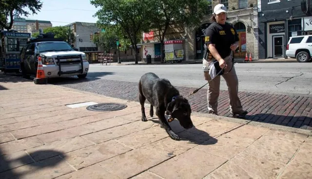 ଆମେରିକାର ୩ଟି ପ୍ରଦେଶରେ ଗୁଳିକାଣ୍ଡ । ୨ ମୃତ, ୩୦ ଜଣ ଆହତ