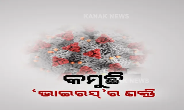 କମୁଛି ‘ଭାଇରସ୍’ର ଶକ୍ତି । ସାମ୍ନାକୁ ଆସିଲା ଇନଷ୍ଟିଚ୍ୟୁଟ୍ ଅଫ୍ ଲାଇଫ୍ ସାଇନ୍ସର ତଥ୍ୟ । ଏବେ ସଂକ୍ରମିତ ହେଉଥିବା ଲୋକଙ୍କ କ୍ଷେତ୍ରରେ ଦେଖିବାକୁ ମିଳୁଛି କମ୍ ଭାଇରାଲ ଲୋଡ ।