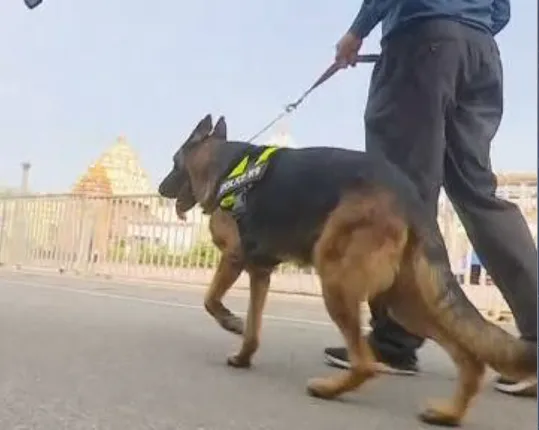 ୧୧ ଜିଲ୍ଲାରେ ନାହାନ୍ତି ସନ୍ଧାନୀ ପୋଲିସ କୁକୁର । ମାତ୍ର ୨୫ ସନ୍ଧାନୀ କୁକୁରରେ କାମ ଚଳାଉଛି ପୋଲିସ ବିଭାଗ ।