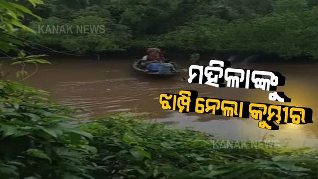 ଭିତରକନିକା ଜାତୀୟ ଉଦ୍ୟାନ ନିକଟ ନଦୀରୁ ମହିଳାଙ୍କୁ ଝାମ୍ପି ନେଲା କୁମ୍ଭୀର । ମାଛ ଧରିବାକୁ ନଦୀ ପାରବେଳେ ଟାଣି ନେଇଥିବା ସୂଚନା ।