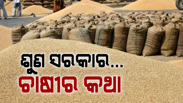 ଅଧା ଓଡ଼ିଶାରୁ ଆସିଲା ଚାଷୀ ଦୁର୍ଦ୍ଦଶାର ସାଂଘାତିକ ଚିତ୍ର । ମଣ୍ଡିରେ ପଡି ପଡ଼ି ଧାନ ହୋଇଗଲାଣି ଗଜା, ୧୨ ଦିନିଆ ଟୋକନ ଅବଧି ପାଇଁ ବ୍ରିକି ହୋଇ ପାରିଲାନି ରବି ଧାନ । 