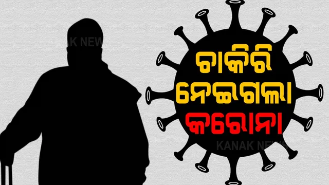 ଚାକିରି ନେଇଗଲା କରୋନା । ମେ’ ମାସରେ ଚାକିରି ହରାଇଛନ୍ତି ୧ କୋଟି ୫୩ ଲକ୍ଷ ଲୋକ । 