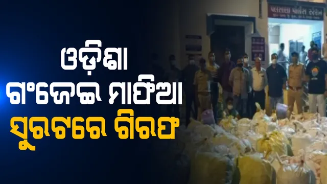 ଓଡ଼ିଶାରୁ ଗୁଜରାଟ ଗଂଜେଇ ଚୋରା ଚାଲାଣ । ଗଂଜାମରୁ ଚାଲାଣ ବେଳେ ୧କୋଟି ୧୪ଲକ୍ଷ ଟଙ୍କାର ଗଂଜେଇ ଜବତ କଲା ସୁରଟ ଗ୍ରାମୀଣ ପୋଲିସ 