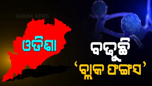 ଓଡିଶାରେ ବଢୁଛି ‘ବ୍ଲାକ ଫଙ୍ଗସ’ ରୋଗୀଙ୍କ ସଂଖ୍ୟା : ସଂକ୍ରମିତ ହେଲେଣି ୧୨୯ ଜଣ, ୧୮ ଜଣଙ୍କ ମୃତ୍ୟୁ; ଏଯାଏଁ ସୁସ୍ଥ ହୋଇଛନ୍ତି କେବଳ ୧୨ ଜଣ