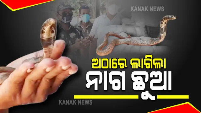 ଅଠାରେ ଲାଗିଲା ନାଗଛୁଆ