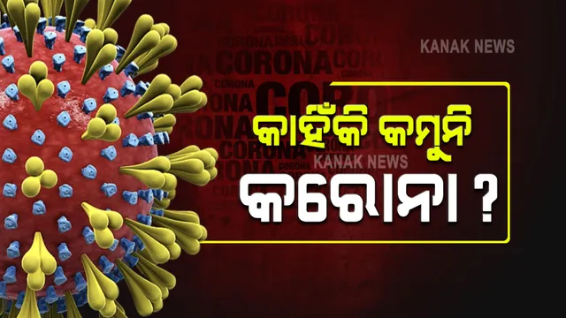 ଦିଲ୍ଲୀ-ମୁମ୍ବାଇରେ କମିଲା, ରାଜ୍ୟର କିଛି ଜିଲ୍ଲାରେ କାହିଁକି କମୁନି ସଂକ୍ରମଣ ? ଅଧିକ ଯାତାୟତ ନେଇ ଅଜବ ଯୁକ୍ତି ରଖୁଛନ୍ତି ସରକାରଙ୍କ ସ୍ୱାସ୍ଥ୍ୟ ବିଶେଷଜ୍ଞ