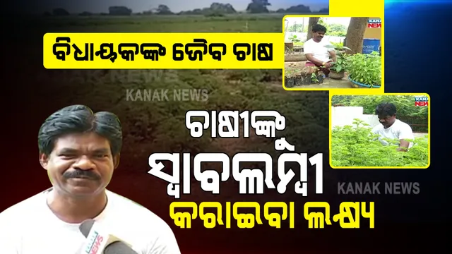 ଜୈବ ଚାଷରେ ଜିଲ୍ଲାର ଚାଷୀଙ୍କୁ କରୁଛନ୍ତି ଉତ୍ସାହିତ । ସମସ୍ତଙ୍କୁ ବିଷମୁକ୍ତ ସାମଗ୍ରୀ ଯୋଇବା ଲକ୍ଷ୍ୟ ନେଇ ଚର୍ଚ୍ଚାରେ ବୀରମିତ୍ରପୁର ବିଧାୟକ ।