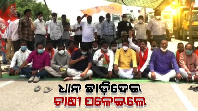 ମଣ୍ଡିରେ ଚାଷୀର ଧାନ ନଉଠିବାରୁ ବଢିଲା ଅସନ୍ତୋଷ । ବରଗଡ଼ରେ ଜିଲ୍ଲାପାଳଙ୍କ ଅଫିସ୍ ଆଗରେ ଧାନ ଛାଡ଼ି ଚାଲିଆସିଲେ ଚାଷୀ, ମୁହାଁମୁହିଁ ହେଲେ ଶାସକ ବିରୋଧୀ ।