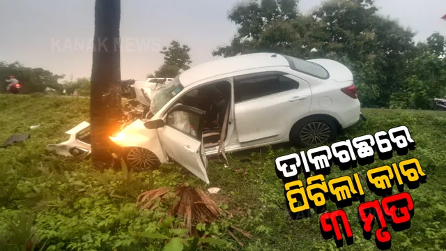 ତାଳଗଛରେ ପିଟିହେଲା କାର । ମାଆ ସହ ଚାଲିଗଲା ୨ ଝିଅଙ୍କ ଜୀବନ