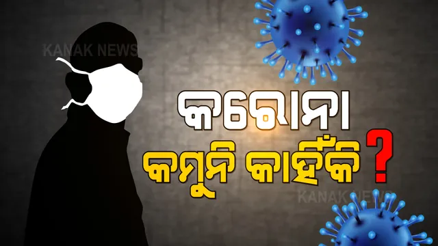 ଓଡ଼ିଶାରେ କମୁନି କରୋନା, ୧୫ ଦିନ ହେଲା ୩ ହଜାର ଉପରେ ରହୁଛି ଦୈନିକ ସଂକ୍ରମଣ । ସ୍ଥିତି ଅନୁଧ୍ୟାନ ପାଇଁ ଆସୁଛନ୍ତି କେନ୍ଦ୍ରୀୟ ଟିମ୍ । 
