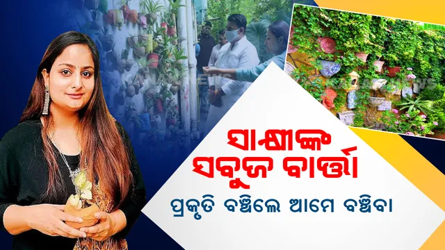 ଘରେ ମିନି ଜଙ୍ଗଲ : ୮ଶହ ବର୍ଗଫୁଟରେ ୪ ହଜାର ଗଛ, ୧୫୦ରୁ ଉର୍ଦ୍ଧ୍ୱ ବିରଳ ପ୍ରଜାତି