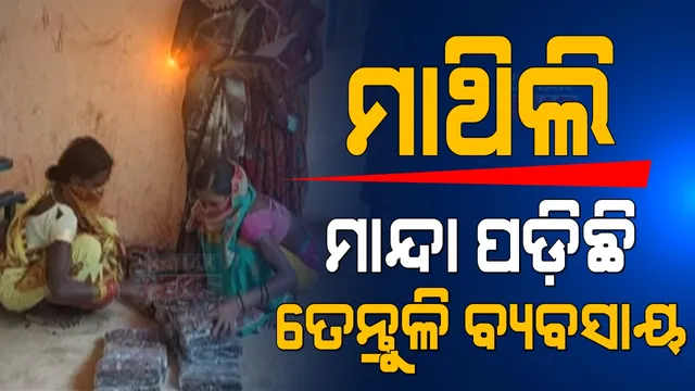 କରୋନା କାଳରେ ମାନ୍ଦା ପଡିଗଲା ତେନ୍ତୁଳି ବ୍ୟବସାୟ । ମାଥିଲି ବ୍ଲକ ଚେଡେଙ୍ଗା ପଂଚାୟତରେ ତେନ୍ତୁଳି ପ୍ରକ୍ରିୟାକରଣ ଆଦିବାସୀ ମହିଳାଙ୍କୁ ଦେଇଥିଲା ରୋଜଗାର
